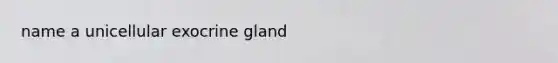 name a unicellular exocrine gland