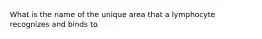 What is the name of the unique area that a lymphocyte recognizes and binds to