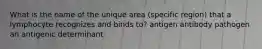 What is the name of the unique area (specific region) that a lymphocyte recognizes and binds to? antigen antibody pathogen an antigenic determinant