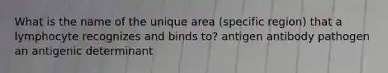 What is the name of the unique area (specific region) that a lymphocyte recognizes and binds to? antigen antibody pathogen an antigenic determinant