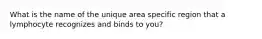 What is the name of the unique area specific region that a lymphocyte recognizes and binds to you?