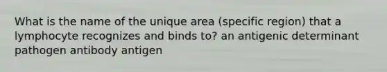 What is the name of the unique area (specific region) that a lymphocyte recognizes and binds to? an antigenic determinant pathogen antibody antigen