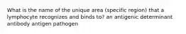 What is the name of the unique area (specific region) that a lymphocyte recognizes and binds to? an antigenic determinant antibody antigen pathogen