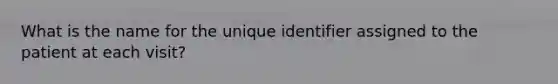 What is the name for the unique identifier assigned to the patient at each visit?