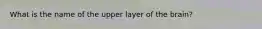 What is the name of the upper layer of the brain?