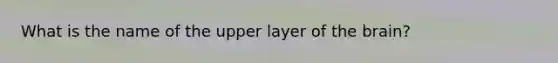 What is the name of the upper layer of the brain?