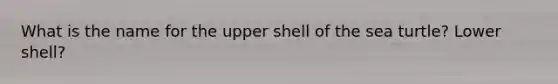 What is the name for the upper shell of the sea turtle? Lower shell?