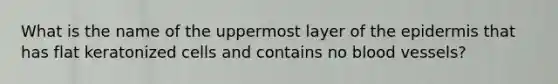 What is the name of the uppermost layer of the epidermis that has flat keratonized cells and contains no blood vessels?