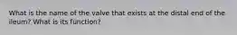 What is the name of the valve that exists at the distal end of the ileum? What is its function?