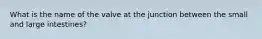 What is the name of the valve at the junction between the small and large intestines?