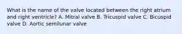 What is the name of the valve located between the right atrium and right ventricle? A. Mitral valve B. Tricuspid valve C. Bicuspid valve D. Aortic semilunar valve