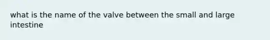 what is the name of the valve between the small and large intestine