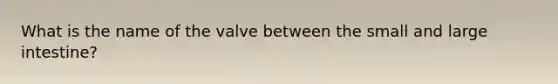 What is the name of the valve between the small and large intestine?