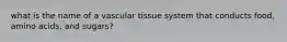 what is the name of a vascular tissue system that conducts food, amino acids, and sugars?