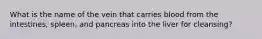 What is the name of the vein that carries blood from the intestines, spleen, and pancreas into the liver for cleansing?