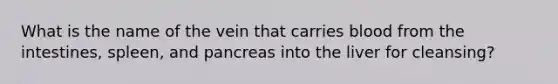 What is the name of the vein that carries blood from the intestines, spleen, and pancreas into the liver for cleansing?