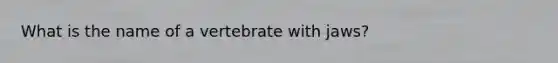 What is the name of a vertebrate with jaws?