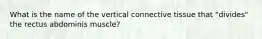 What is the name of the vertical connective tissue that "divides" the rectus abdominis muscle?