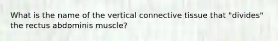 What is the name of the vertical connective tissue that "divides" the rectus abdominis muscle?