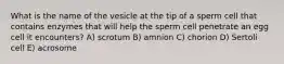 What is the name of the vesicle at the tip of a sperm cell that contains enzymes that will help the sperm cell penetrate an egg cell it encounters? A) scrotum B) amnion C) chorion D) Sertoli cell E) acrosome