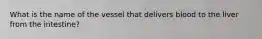 What is the name of the vessel that delivers blood to the liver from the intestine?