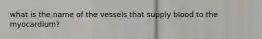 what is the name of the vessels that supply blood to the myocardium?