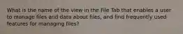 What is the name of the view in the File Tab that enables a user to manage files and data about files, and find frequently used features for managing files?