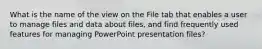 What is the name of the view on the File tab that enables a user to manage files and data about files, and find frequently used features for managing PowerPoint presentation files?