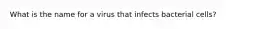 What is the name for a virus that infects bacterial cells?