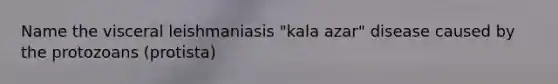 Name the visceral leishmaniasis "kala azar" disease caused by the protozoans (protista)