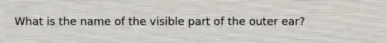 What is the name of the visible part of the outer ear?