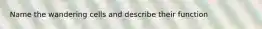 Name the wandering cells and describe their function