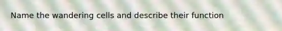 Name the wandering cells and describe their function