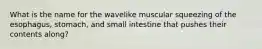 What is the name for the wavelike muscular squeezing of the esophagus, stomach, and small intestine that pushes their contents along?