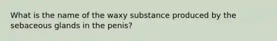 What is the name of the waxy substance produced by the sebaceous glands in the penis?