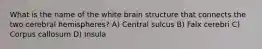 What is the name of the white brain structure that connects the two cerebral hemispheres? A) Central sulcus B) Falx cerebri C) Corpus callosum D) Insula