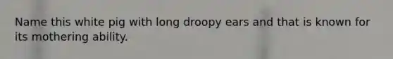 Name this white pig with long droopy ears and that is known for its mothering ability.