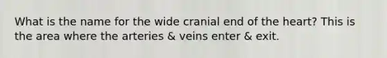 What is the name for the wide cranial end of the heart? This is the area where the arteries & veins enter & exit.