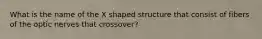 What is the name of the X shaped structure that consist of fibers of the optic nerves that crossover?