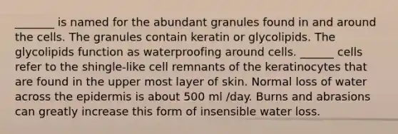 _______ is named for the abundant granules found in and around the cells. The granules contain keratin or glycolipids. The glycolipids function as waterproofing around cells. ______ cells refer to the shingle-like cell remnants of the keratinocytes that are found in the upper most layer of skin. Normal loss of water across the epidermis is about 500 ml /day. Burns and abrasions can greatly increase this form of insensible water loss.