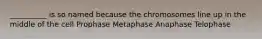 __________ is so named because the chromosomes line up in the middle of the cell Prophase Metaphase Anaphase Telophase