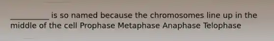 __________ is so named because the chromosomes line up in the middle of the cell Prophase Metaphase Anaphase Telophase