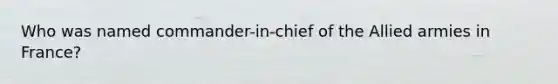 Who was named commander-in-chief of the Allied armies in France?