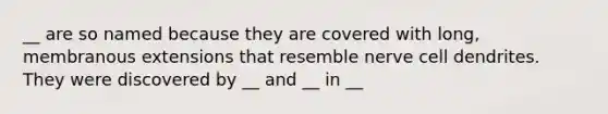 __ are so named because they are covered with long, membranous extensions that resemble nerve cell dendrites. They were discovered by __ and __ in __