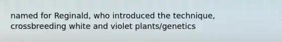 named for Reginald, who introduced the technique, crossbreeding white and violet plants/genetics