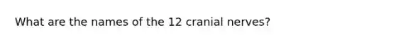 What are the names of the 12 cranial nerves?