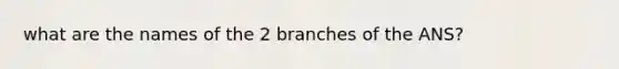 what are the names of the 2 branches of the ANS?