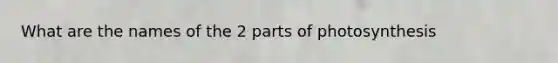 What are the names of the 2 parts of photosynthesis