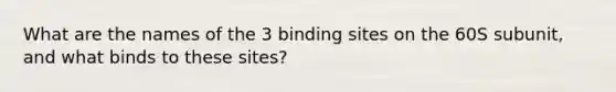 What are the names of the 3 binding sites on the 60S subunit, and what binds to these sites?