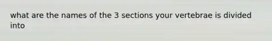 what are the names of the 3 sections your vertebrae is divided into